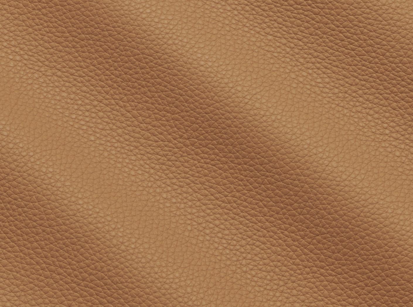 Möbelhud Prescott EU 221 Lion Möbelhud Prescott EU 221 Lion