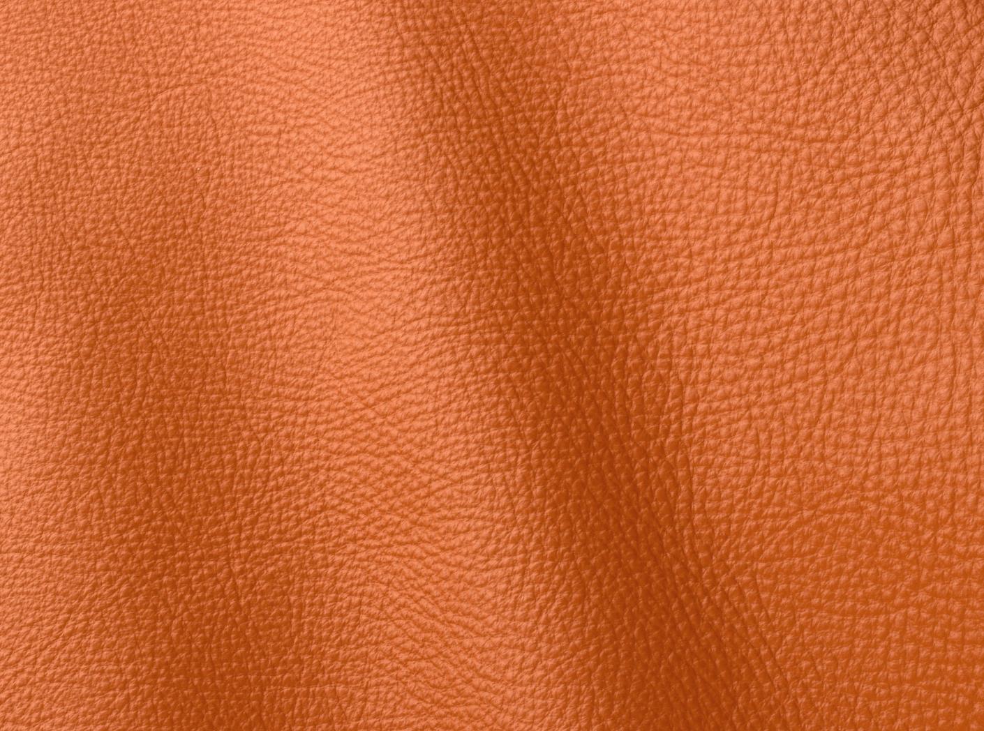 Möbelhud Prescott EU 246 Claw Möbelhud Prescott EU 246 Claw