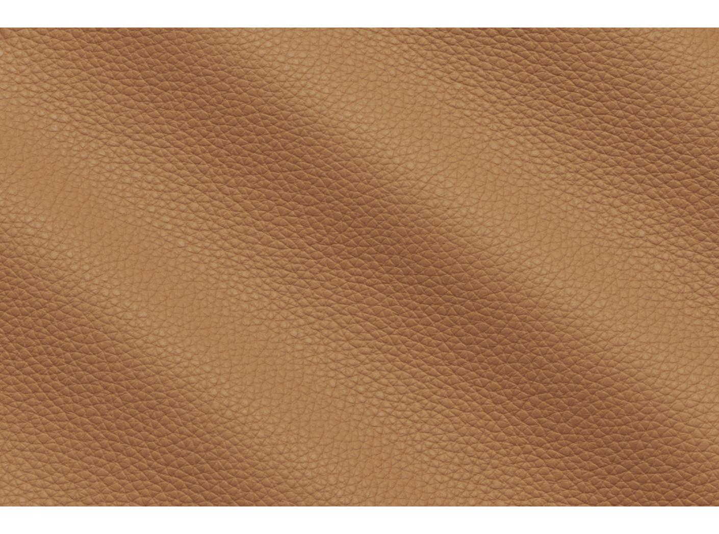 Möbelhud Prescott EU 221 Lion Möbelhud Prescott EU 221 Lion