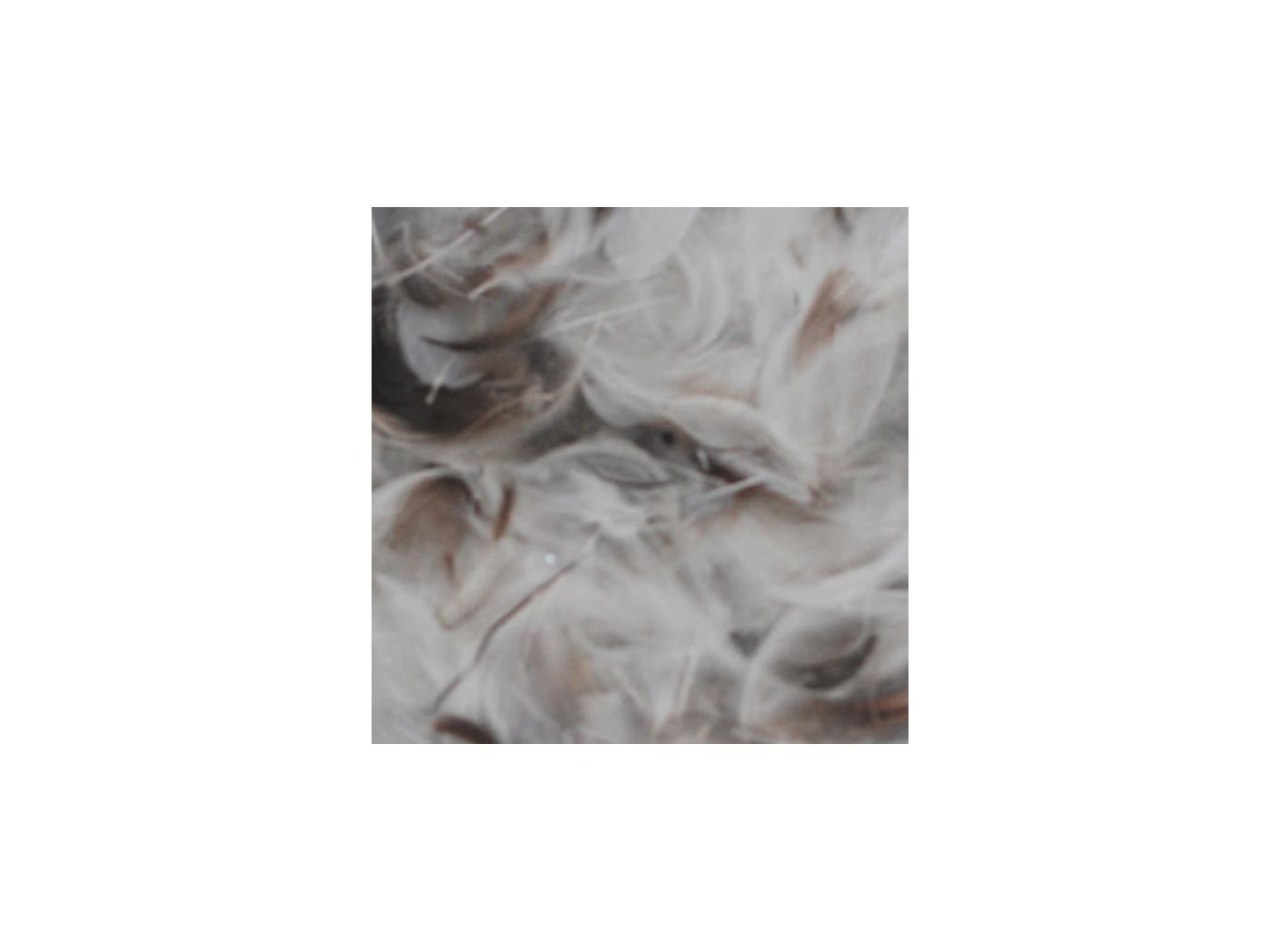 Fjäder 30421,1kg/fp Fjäder 30421,1kg/fp