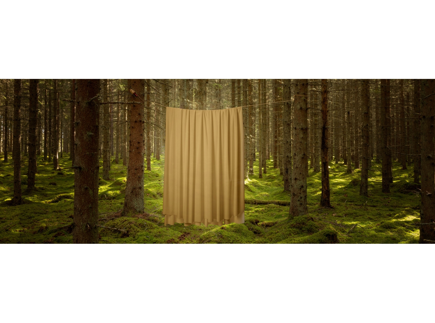 Gardin Roma Velvet FR 62 Mustard, 300cm Gardin Roma Velvet FR 62 Mustard, 300cm