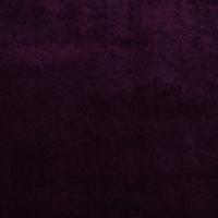 Tyg Grand Lazio Velvet 00V9 Violet