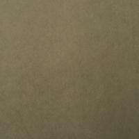 Tyg Grand Lazio Velvet 0016 Light green