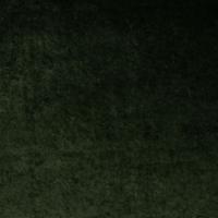 Tyg Grand Lazio Velvet 00Z3 Bottle green