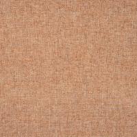 Tyg Reserve 34 Birch