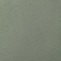 Gardin Forli Black-Out FR 057 Willow, 300cm