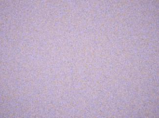 Tyg Coco 9592 Lavender Tyg Coco 9592 Lavender