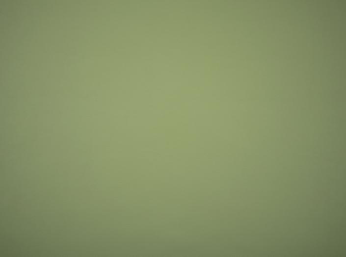 Konstläder Illusion 3.0 71220 Sage Konstläder Illusion 3.0 71220 Sage